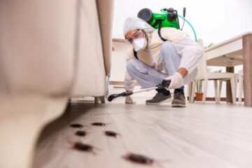 The Ultimate Guide to Pest Control Tips and Tricks for a Pest-Free Home